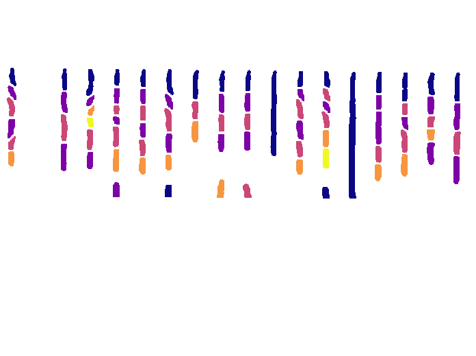 Reconstructed mother machine colored image where cells are color-coded by generation